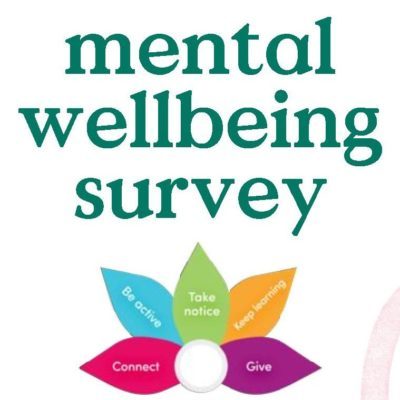 Mental Wellbeing Survey • Camphill Village Trust