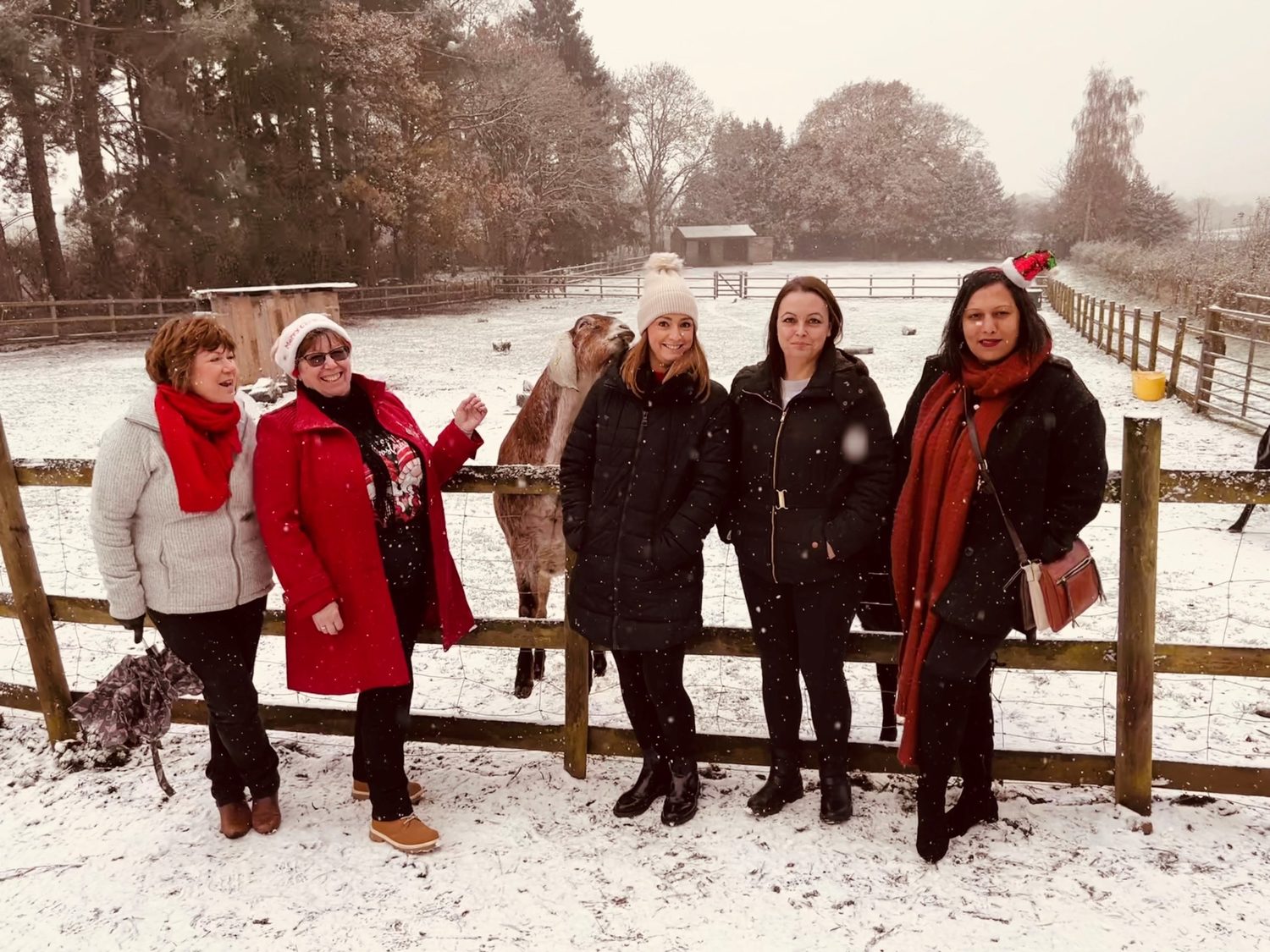 Shared Lives team standing by goats in the snow