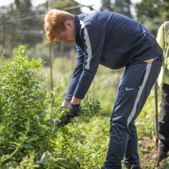 A person we support in the garden wearing gardening gloves pulling weeds