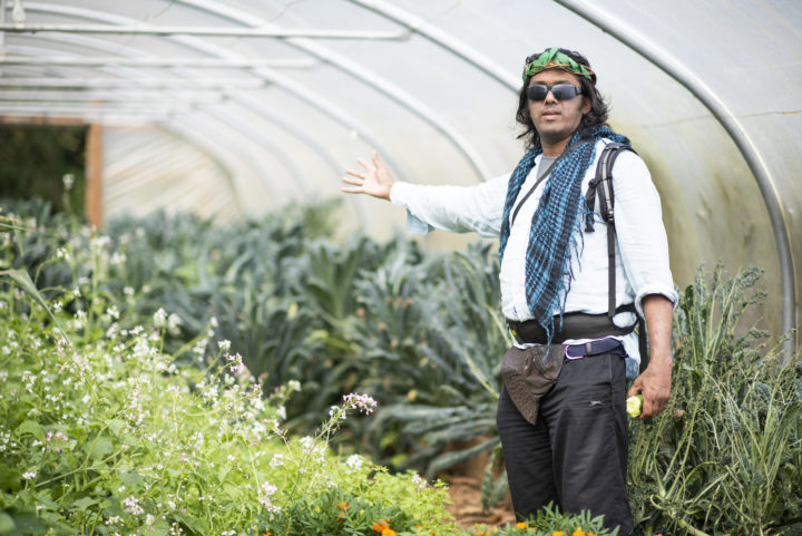 A man standing in a polytunnel