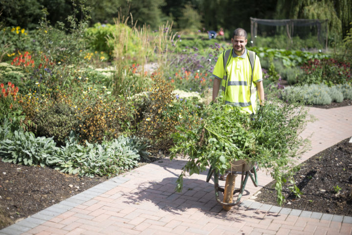 Growing and horticulture activity, a person with a wheelbarrow, Camphill Village Trust