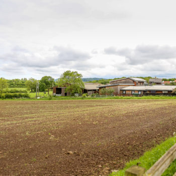 A field belonging to Camphill Village Trust in Larchfield, Middlesborough