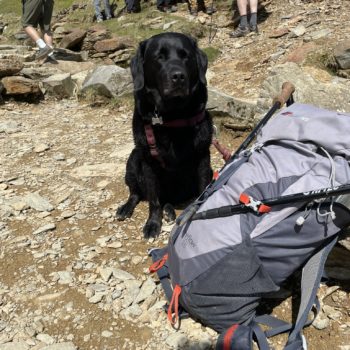 A hiking bag and dog