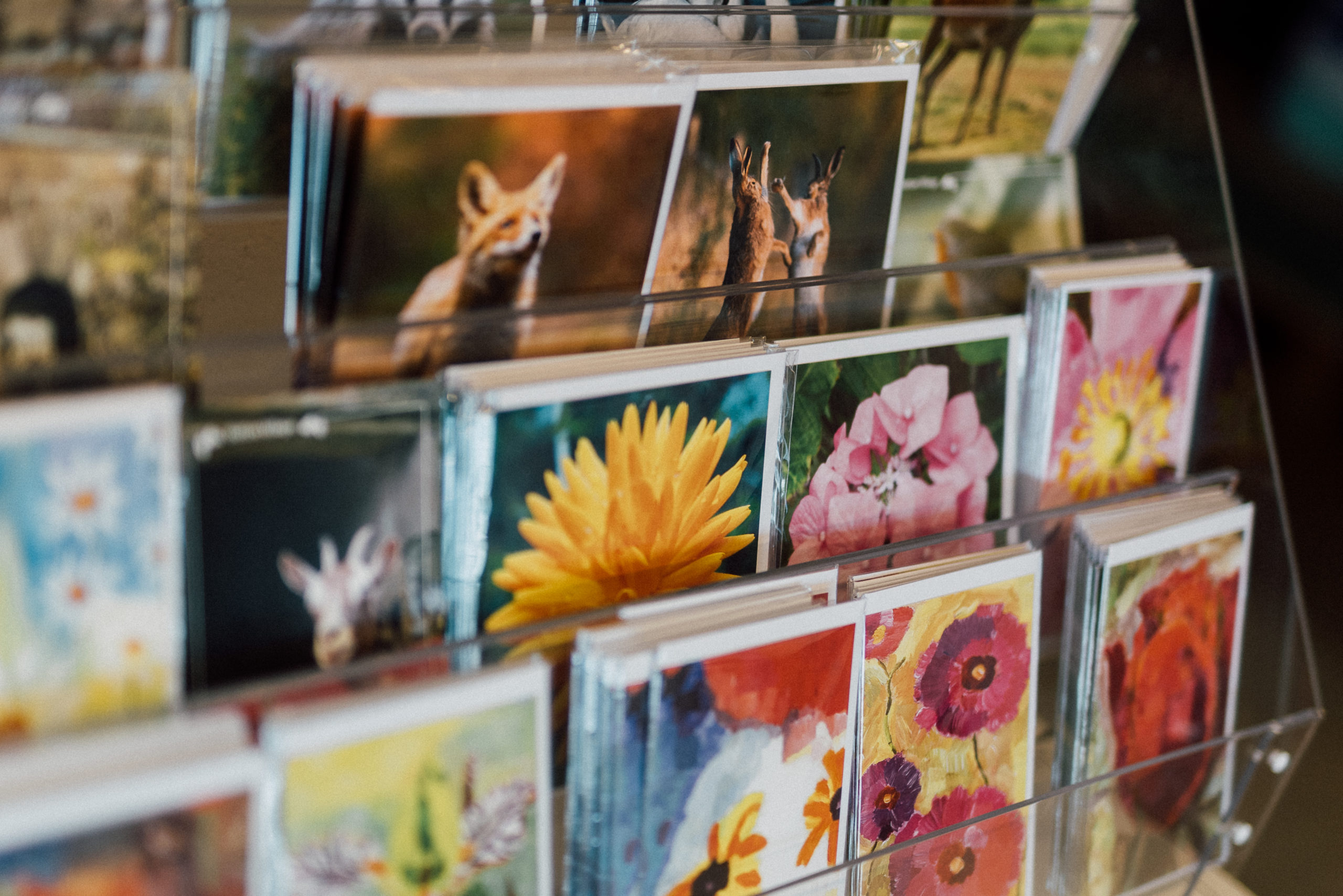 A selection of colourful greeting cards