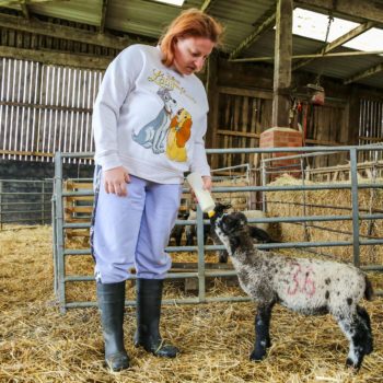 A person we support in one of our farm barns feeding a lamb milk in a bottle