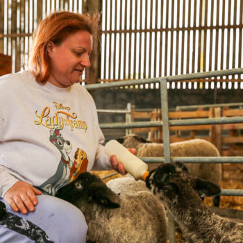 A person we support in one of our farm barns feeding a lamb milk in a bottle