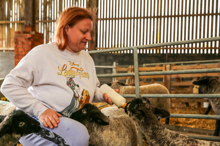 A person we support in one of our farm barns feeding a lamb milk in a bottle