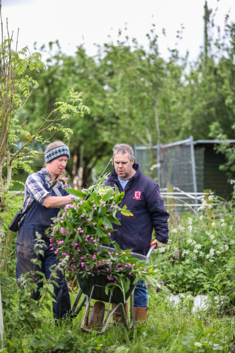 People gardening