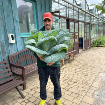 A person we support holding a cabbage