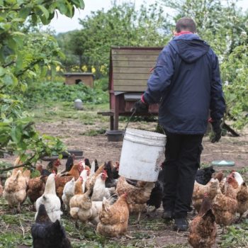 A person we support feeding chickens outside