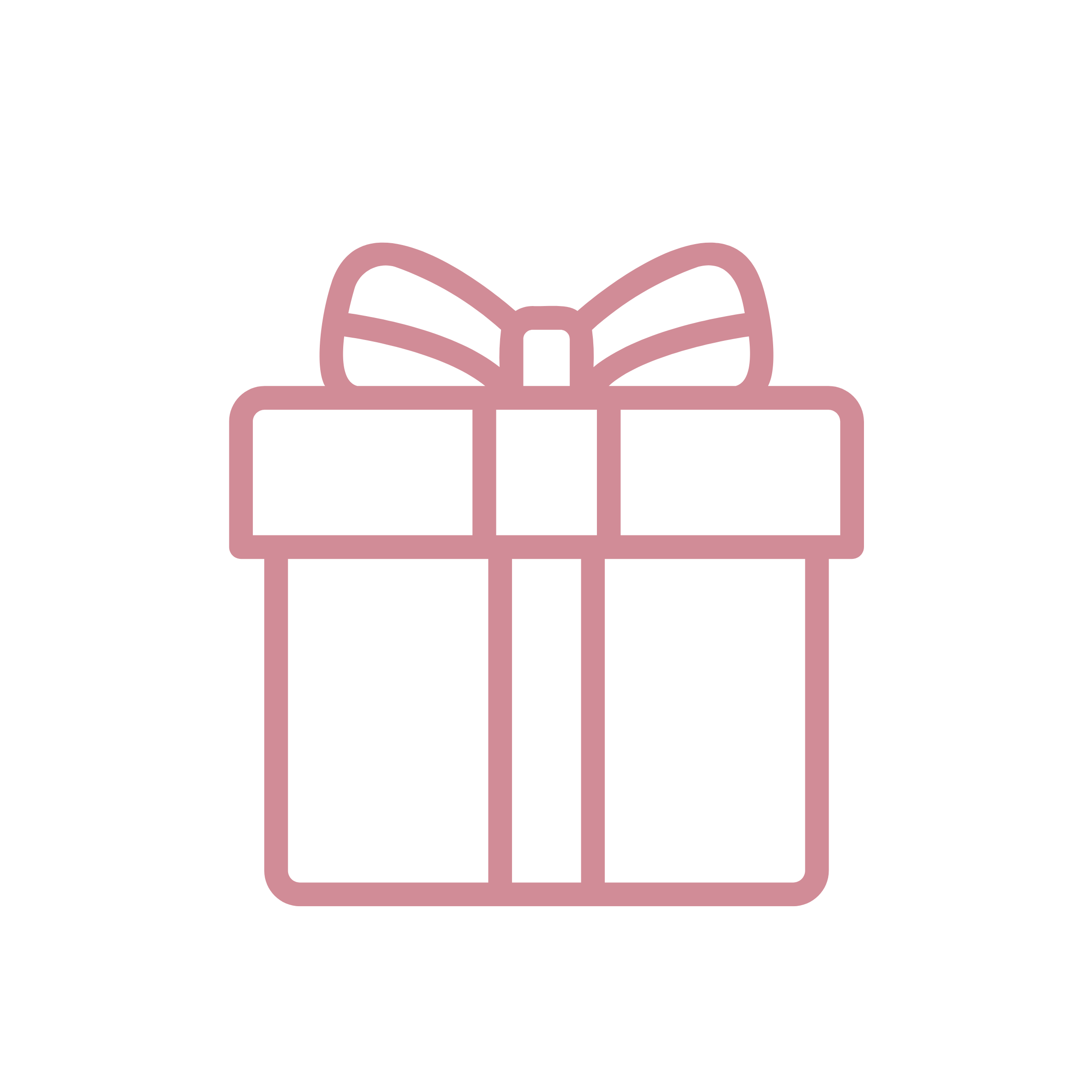 Gift icon