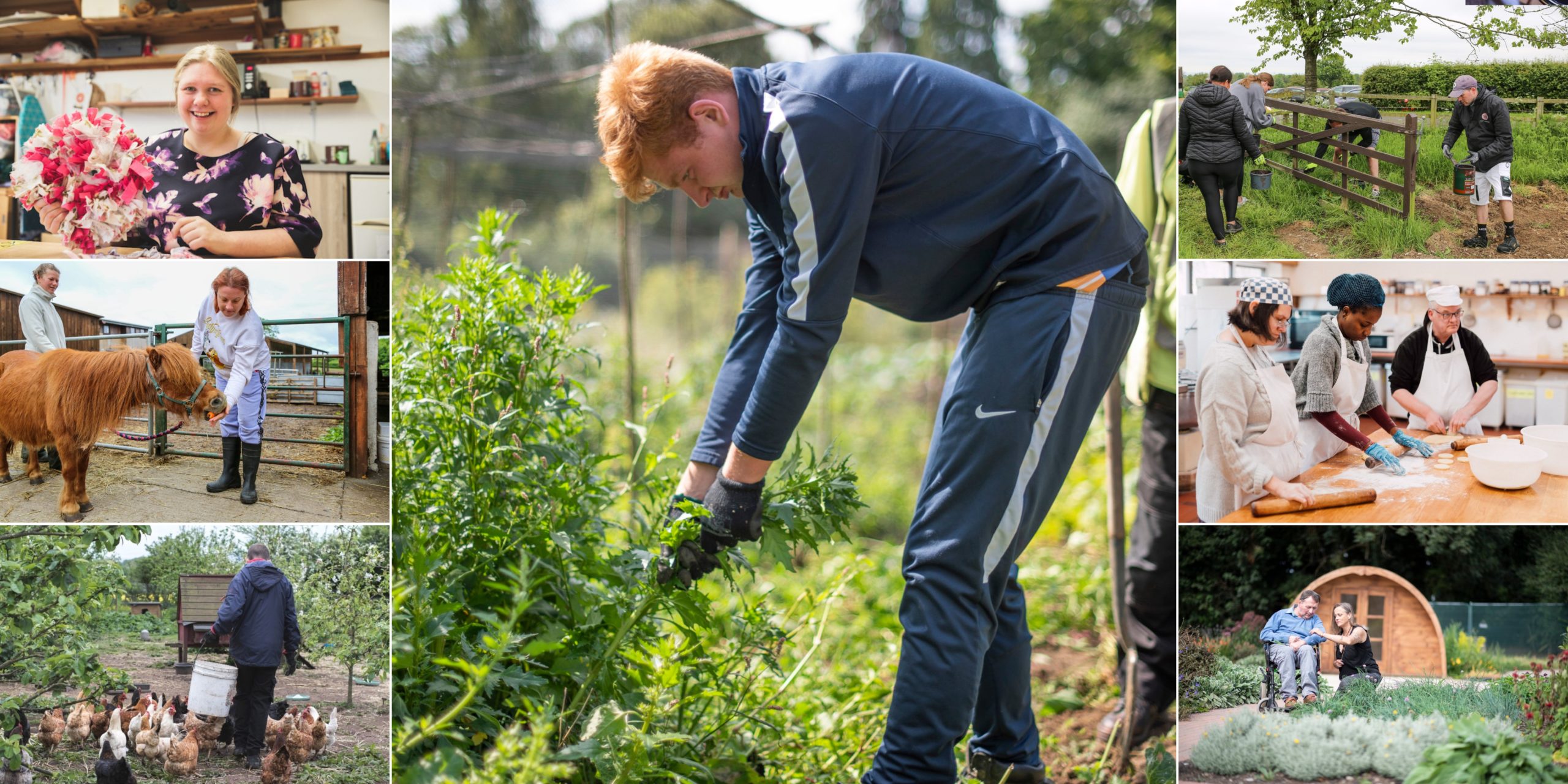 Green Care programme banner