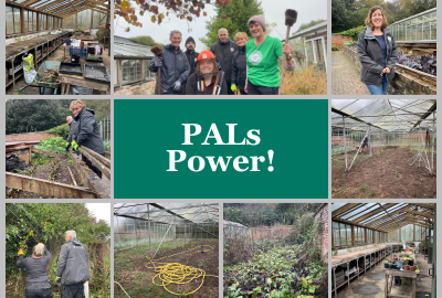 Pals Power blog