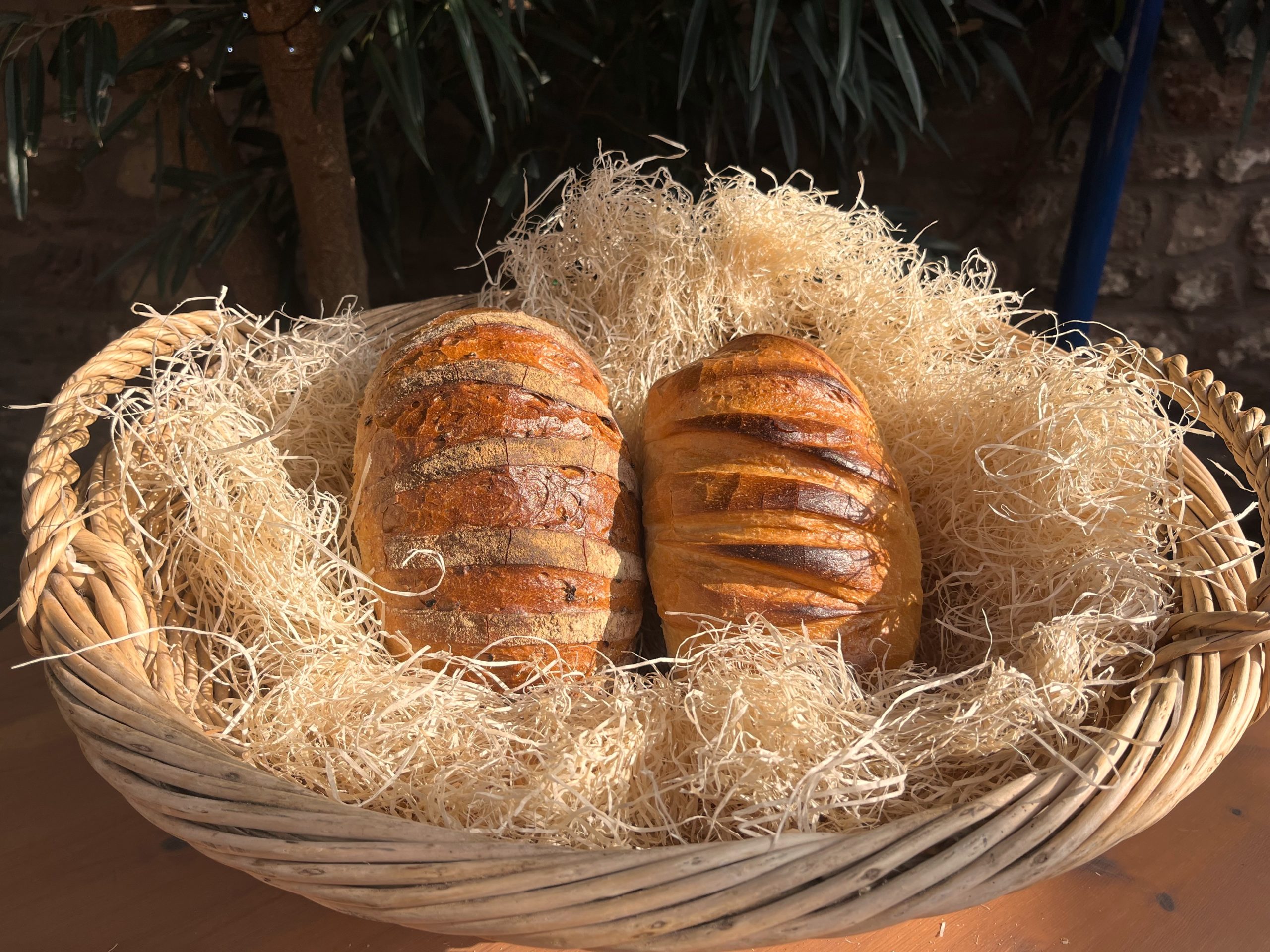 2 loaves of freshly baked bread