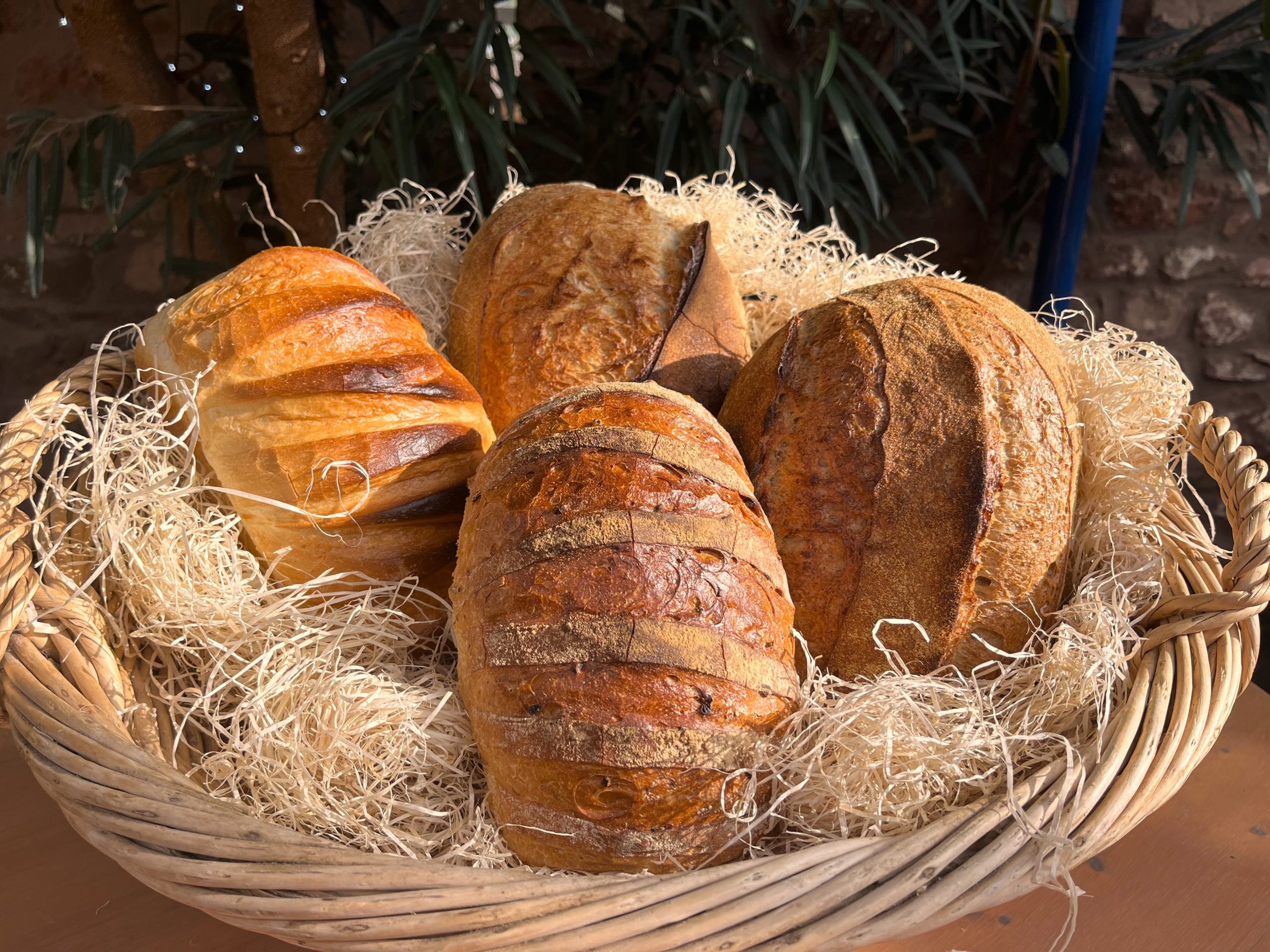 Severn Bakery 4 loaves of bread