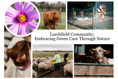 Larchfield community goes green through nature, Camphill Village Trust